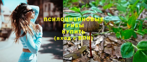 кокс Баксан
