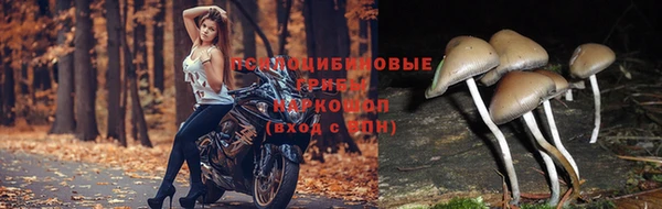 крисы Балабаново