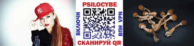 Галлюциногенные грибы прущие грибы  Верея 